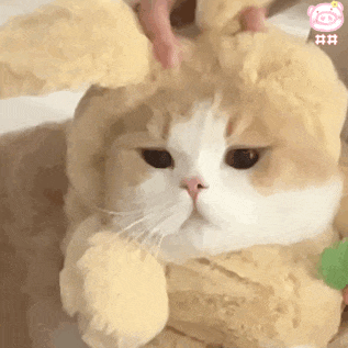 图片关键词 图片