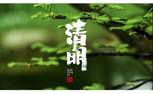 又是一年清明时｜睿丰机械期待与您一起踏青而行共赏繁花
